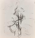 disegni2 (78)